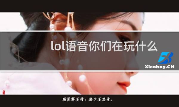 lol语音你们在玩什么呢图片