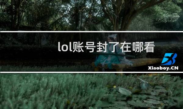 lol账号封了在哪看图片