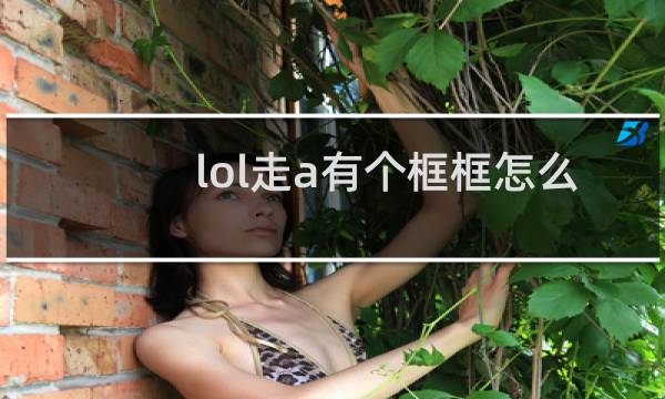 lol走a有个框框怎么设置