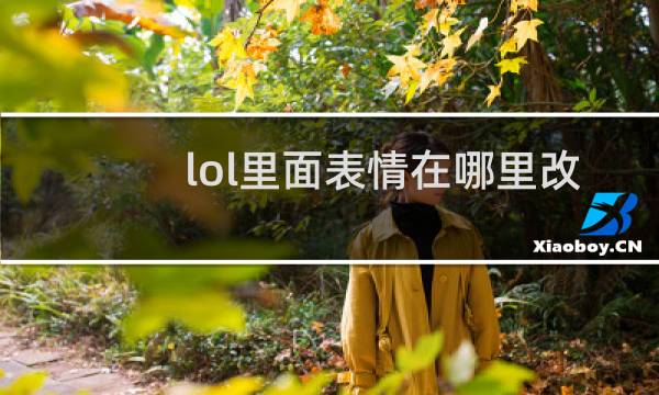 lol里面表情在哪里改键图片