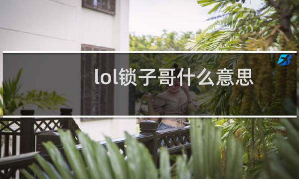 lol锁子哥什么意思图片