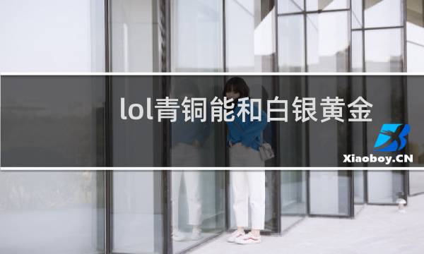 lol青铜能和白银黄金双排吗图片