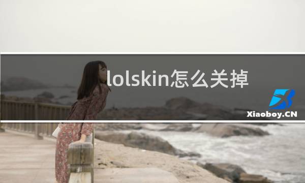 lolskin怎么关掉图片