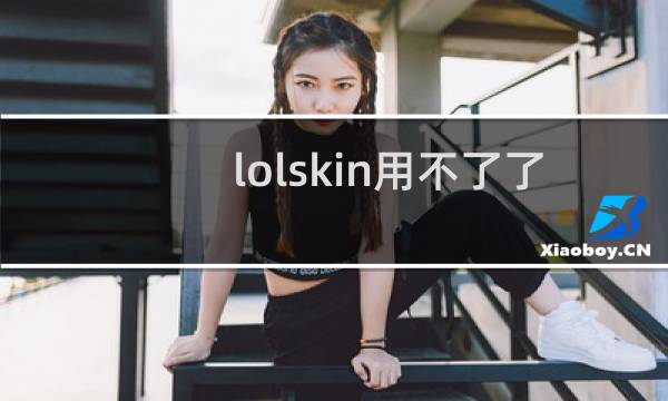 lolskin用不了了怎么弄图片