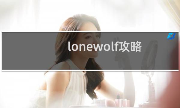 lonewolf攻略 飞机