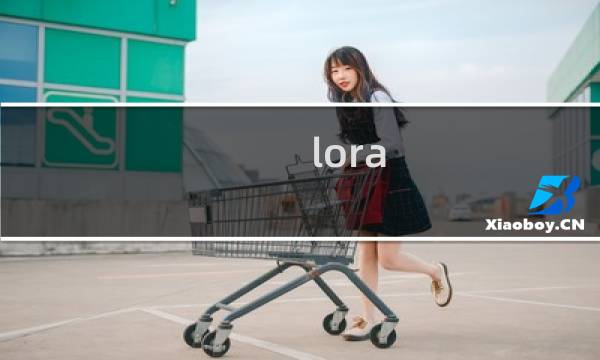 lora 带宽