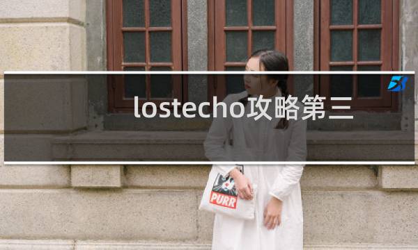 lostecho攻略第三
