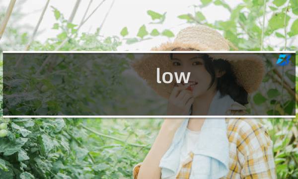 low bee是什么梗，蜜蜂低飞 low bee冷笑话啥意思啊什么梗