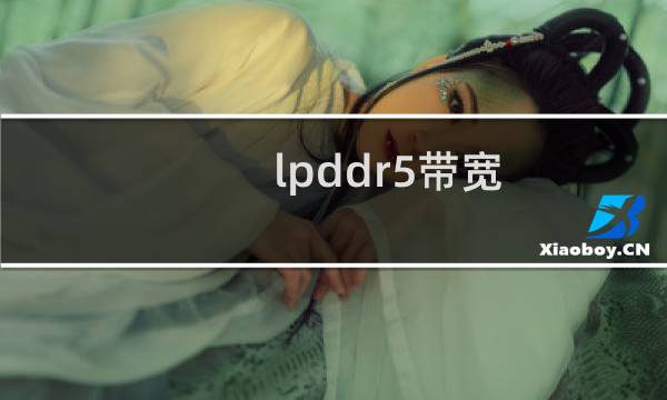 lpddr5带宽