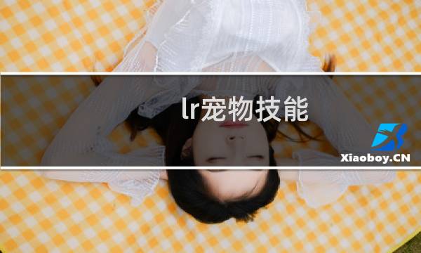 lr宠物技能