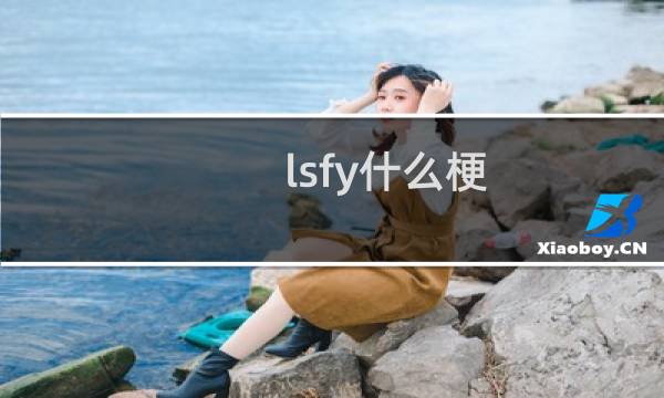 lsfy什么梗