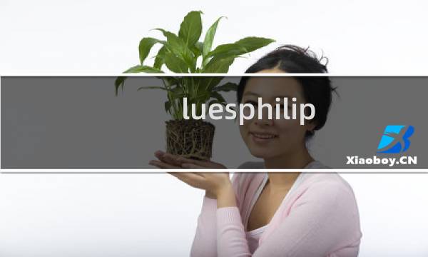 luesphilipinyelu是什么牌子(Luye品牌的中文名是什么)