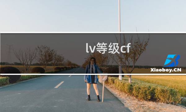 lv等级cf