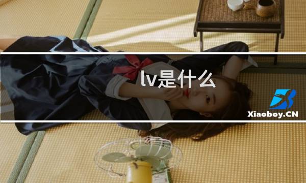 lv是什么