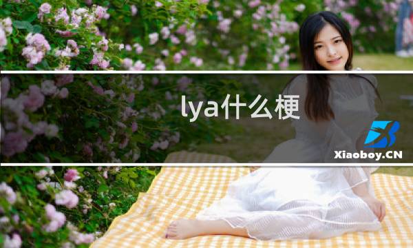 lya什么梗