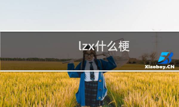lzx什么梗