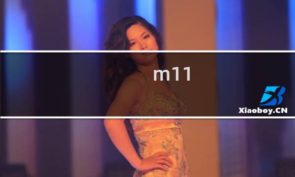 m11 攻略