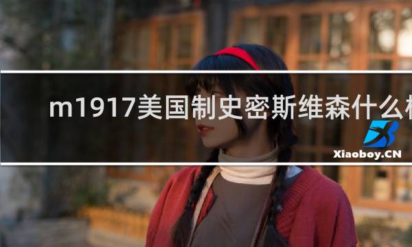 m1917美国制史密斯维森什么梗