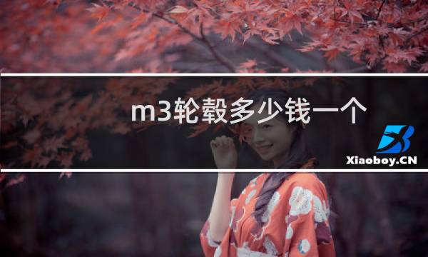 m3轮毂多少钱一个?