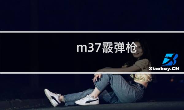 m37霰弹枪
