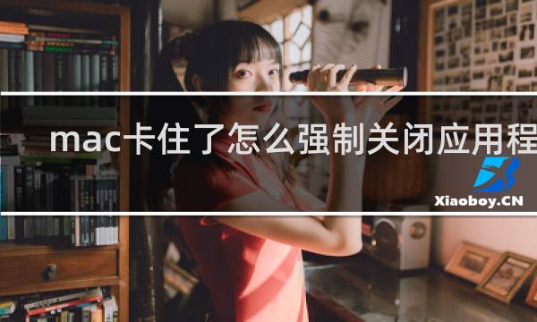 mac卡住了怎么强制关闭应用程序