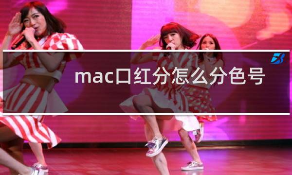 mac口红分怎么分色号