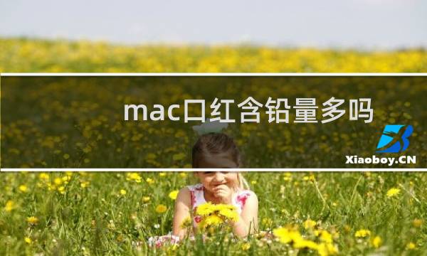 mac口红含铅量多吗