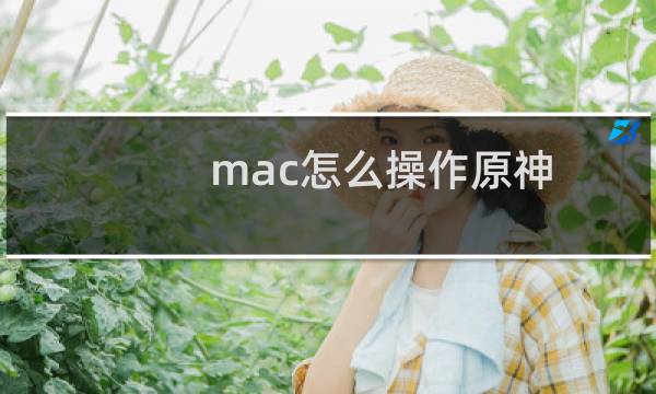 mac怎么操作原神