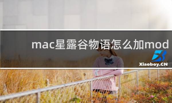 mac星露谷物语怎么加mod