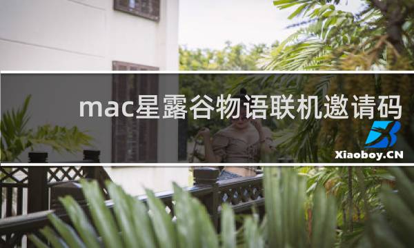 mac星露谷物语联机邀请码