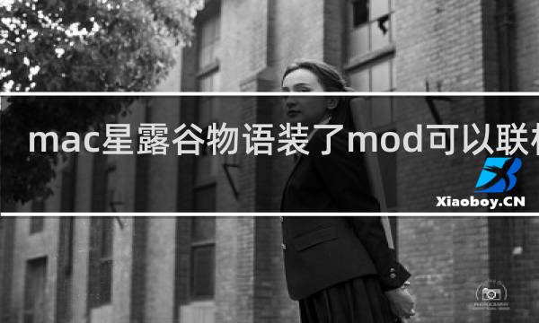 mac星露谷物语装了mod可以联机吗