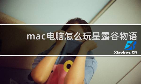 mac电脑怎么玩星露谷物语