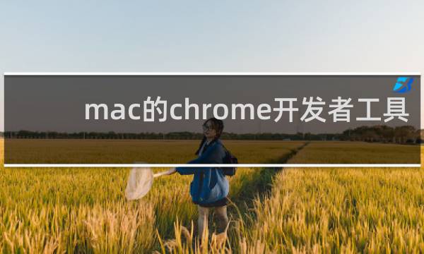 mac的chrome开发者工具