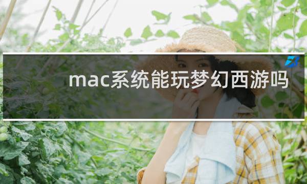 mac系统能玩梦幻西游吗