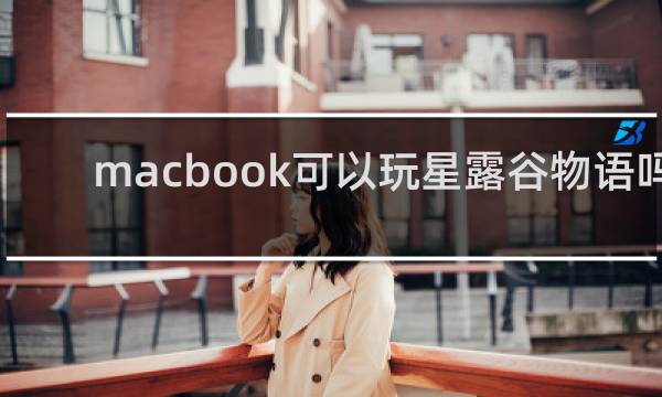 macbook可以玩星露谷物语吗