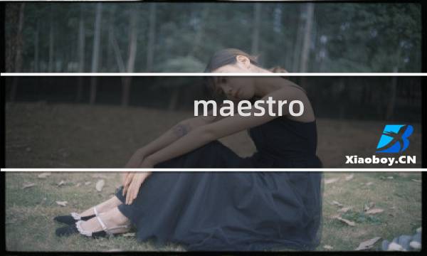 maestro hd攻略
