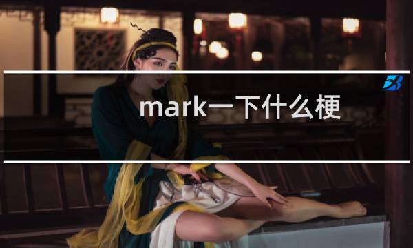 mark一下什么梗