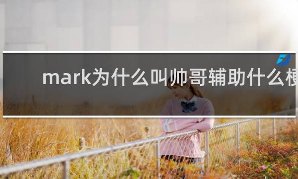 mark为什么叫帅哥辅助什么梗