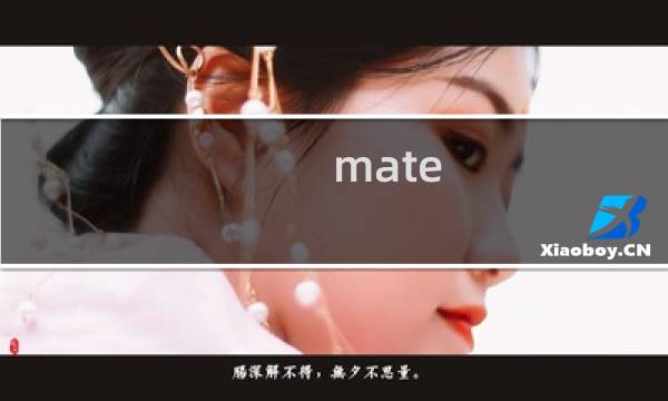 mate s 攻略
