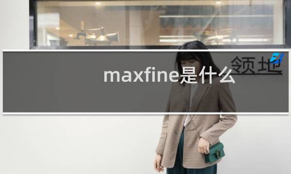 maxfine是什么牌子（maxleaf品牌的中文名是什么）图片