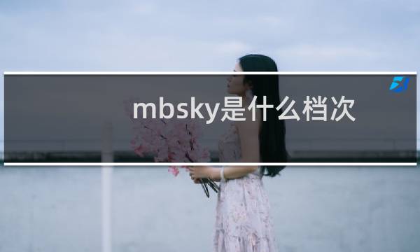 mbsky是什么档次