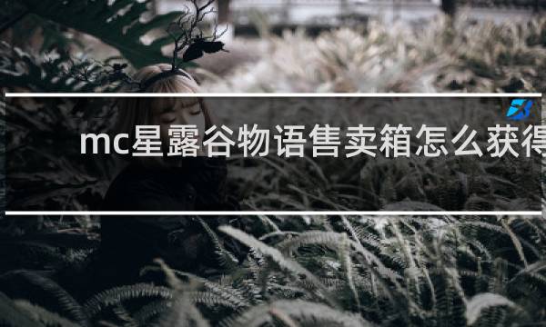mc星露谷物语售卖箱怎么获得