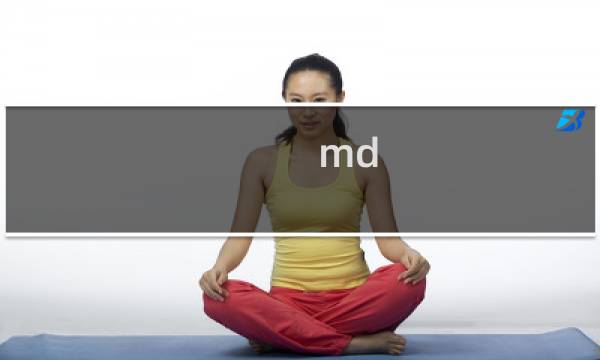 md 攻略 视频