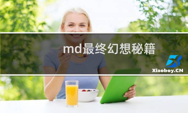 md最终幻想秘籍