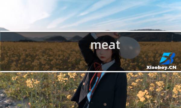 meat mansion攻略