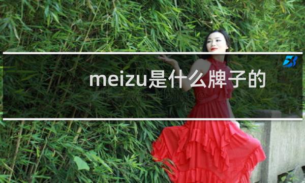 meizu是什么牌子的手机