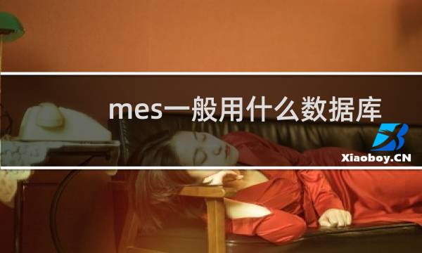 mes一般用什么数据库