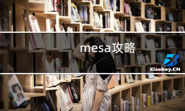 mesa攻略
