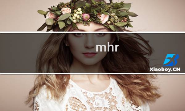 mhr 数据库