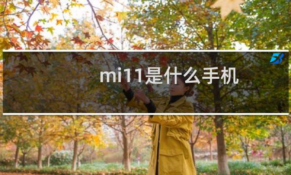 mi11是什么手机